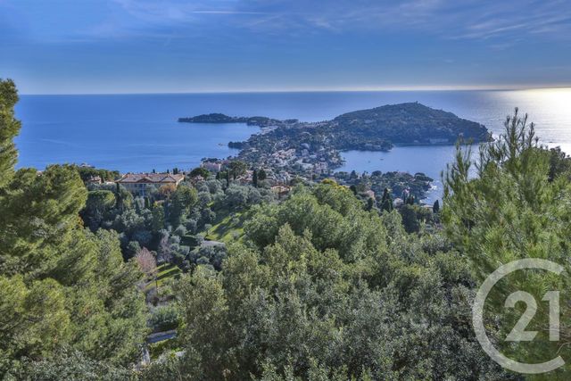 maison à vendre - 7 pièces - 388.0 m2 - VILLEFRANCHE SUR MER - 06 - PROVENCE-ALPES-COTE-D-AZUR - Century 21 Lafage Transactions maison à vendre - 7 pièces - 388.0 m2 - VILLEFRANCHE SUR MER - 06 - PROVENCE-ALPES-COTE-D-AZUR - Century 21 Lafage Transactions