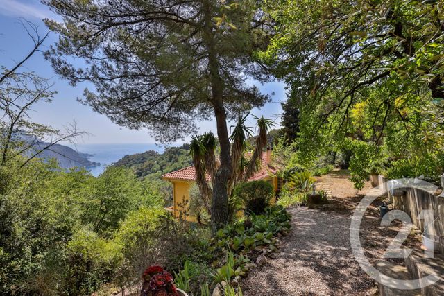 maison - VILLEFRANCHE SUR MER - 06