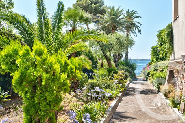 appartement - CANNES - 06